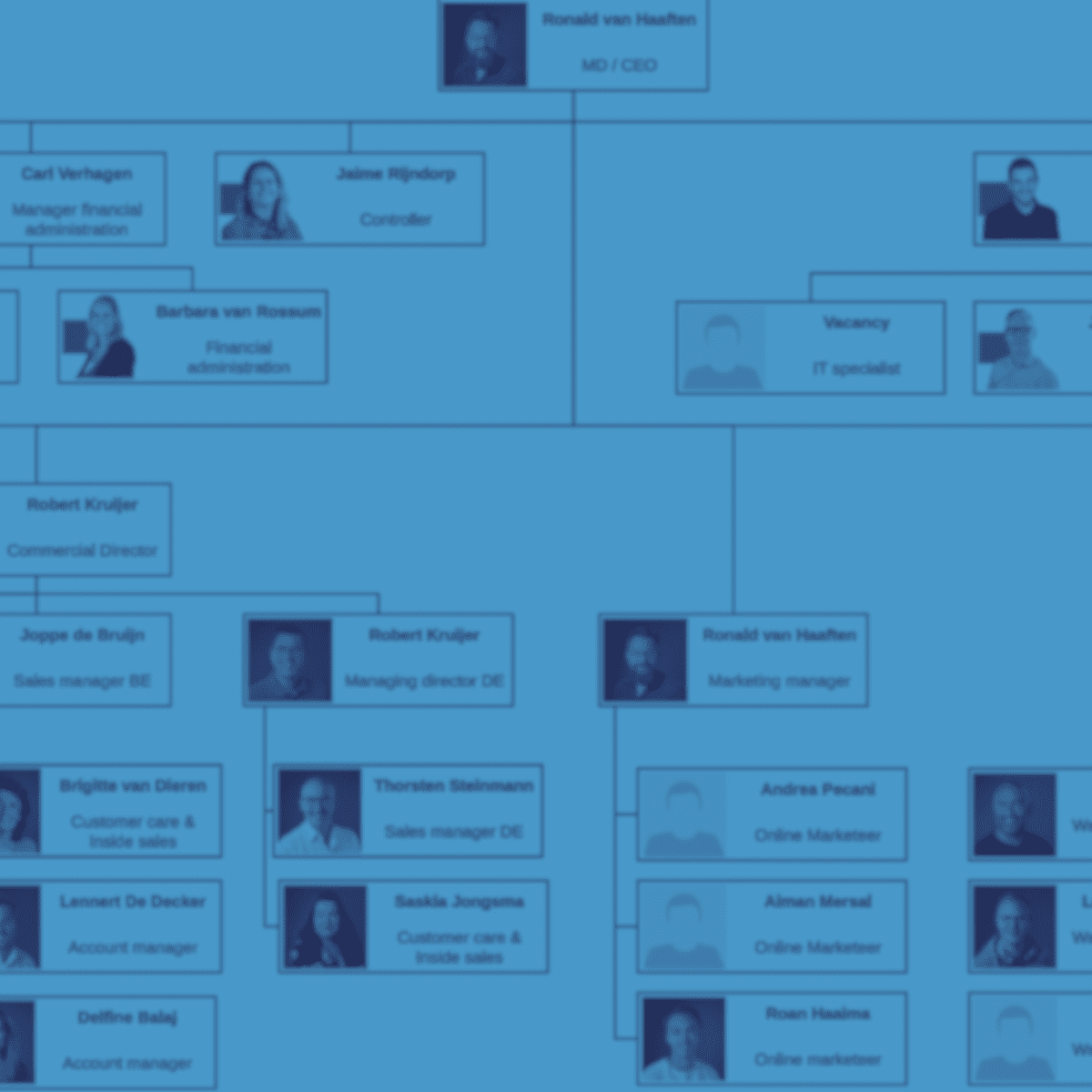 Organogram